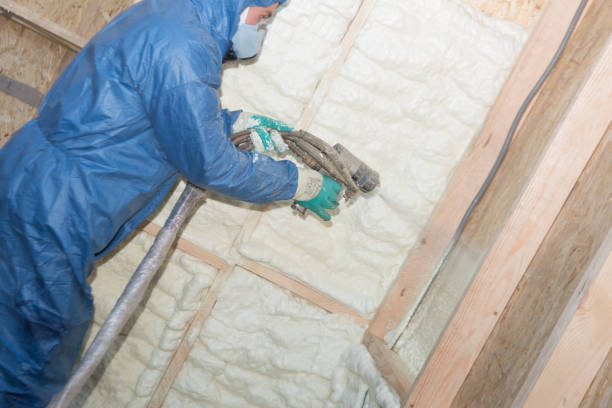 Best Insulation Replacement  in Dale, PA